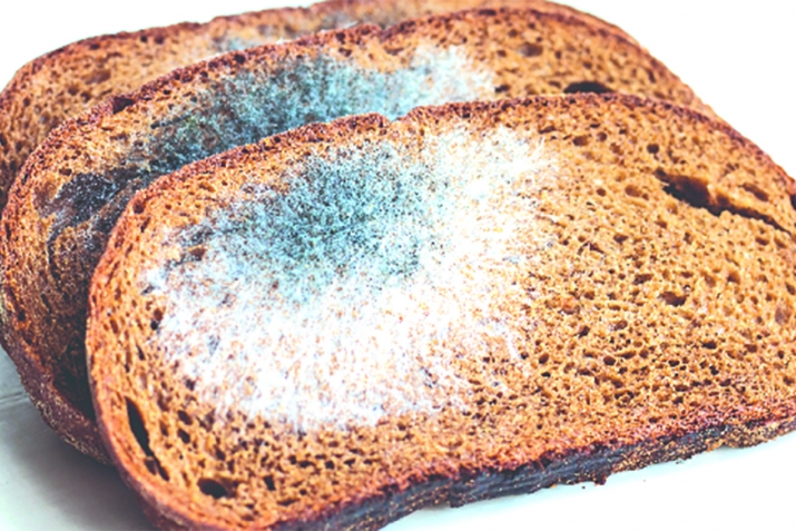 Golden tips on what to do when bread goes bad