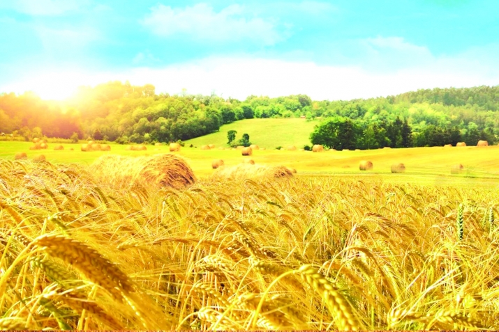 Ризкъи кьолев Аллагь ﷻ вуго