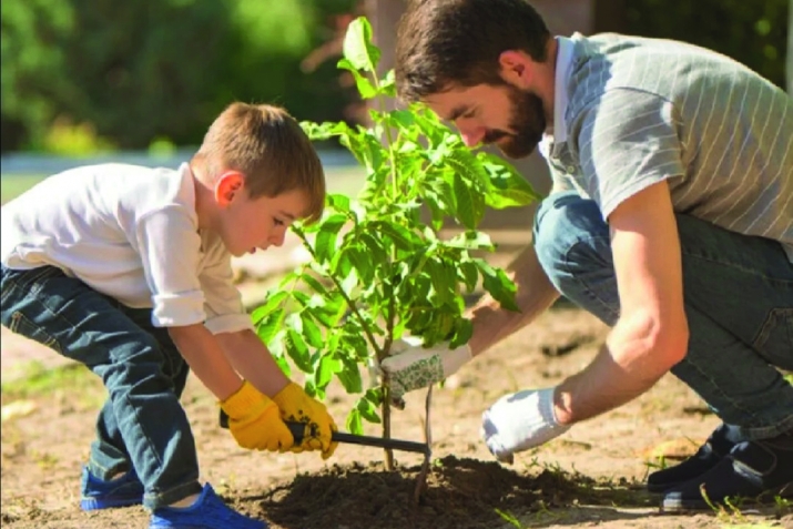 Ағас ултырт!