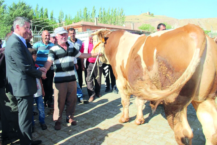 Гурбан кәсилмәсинин јаранмасы һаггында