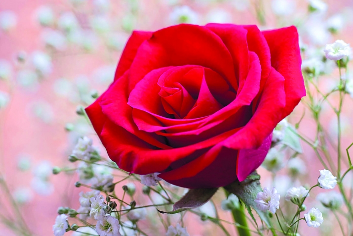 Пайхаммарны ﷺ асгьабалары: Зайнаб булан Абу аль-Асны  хабары