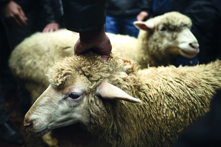 Къурбан-байрам