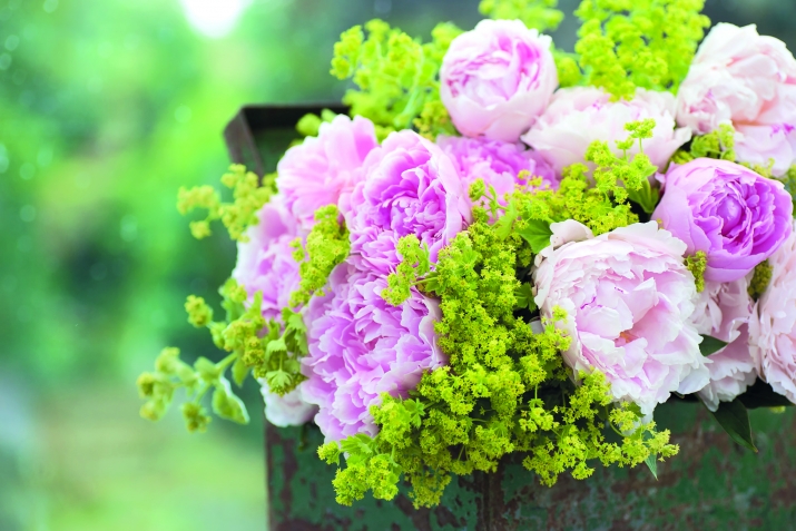 Пайхаммарны ﷺ асгьабалары: Зайнаб булан Абу аль-Асны хабары