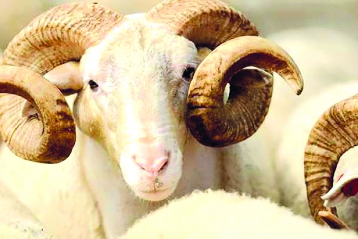 Islаmdа qurbаnkәsmә ayini