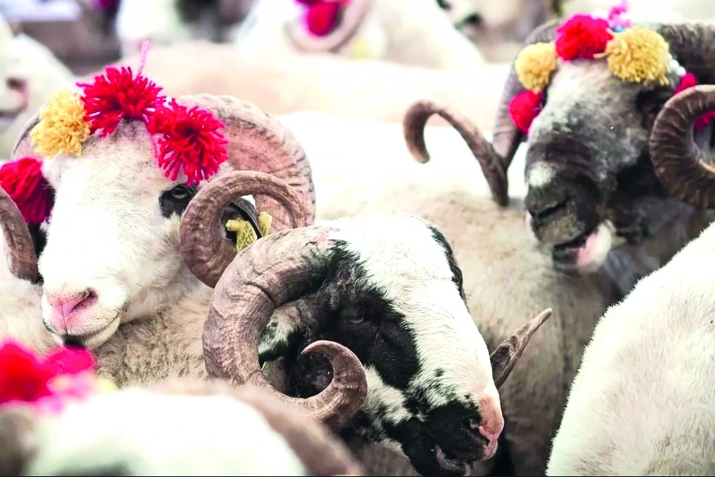 Къурбанд сувар