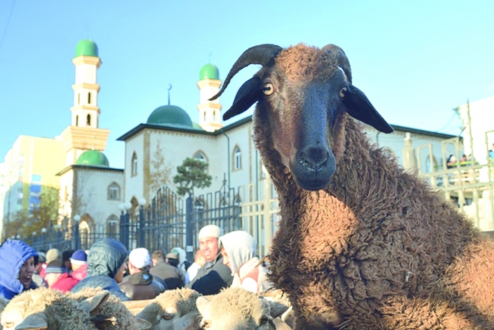 Қурбонӣ ин суннати Иброҳим аст