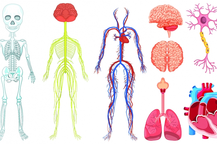 Рак унтуе дару