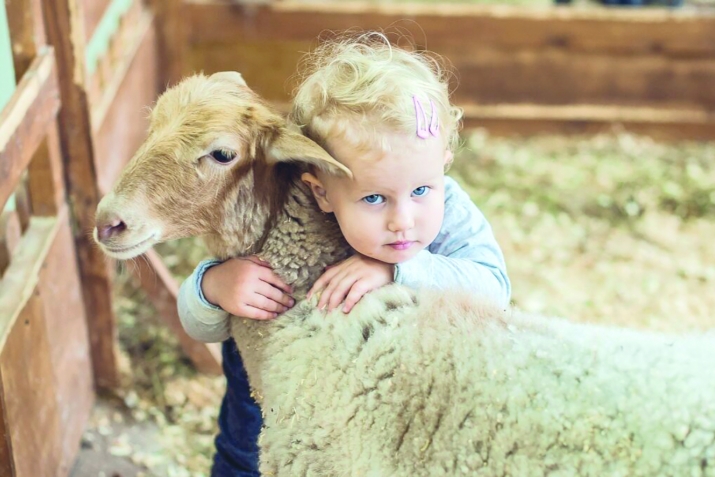 Aqiqah – celebrate the birth of your child