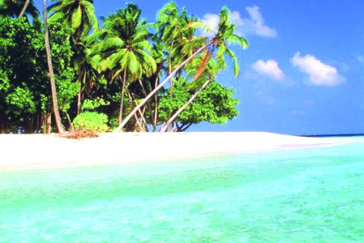 The Darkness under Sea