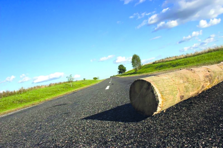 Имандың бер тармағы