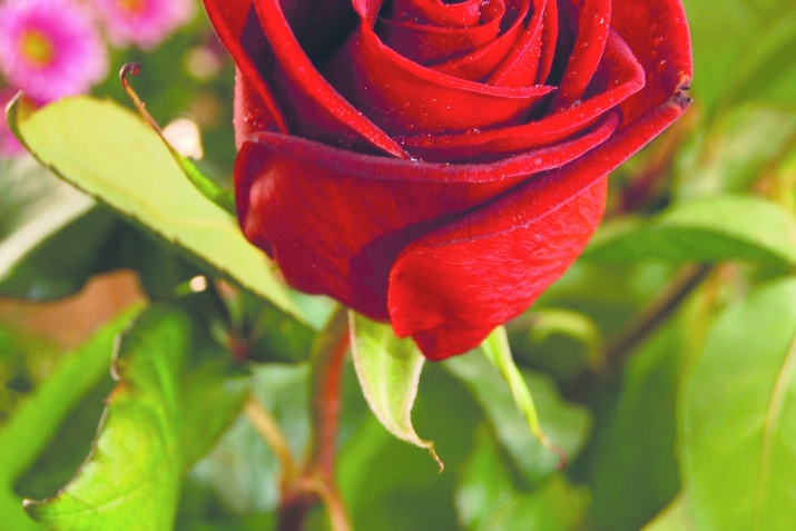 Душ щин буллуну хъинссар?