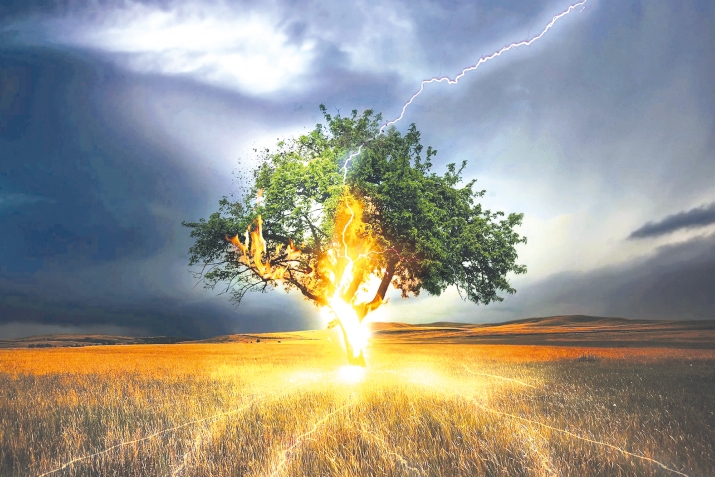 Нужеца гьездалъун ахIи бай