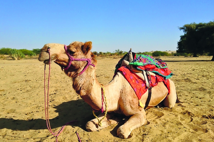 Аллагьасде ﷻ тIамуге