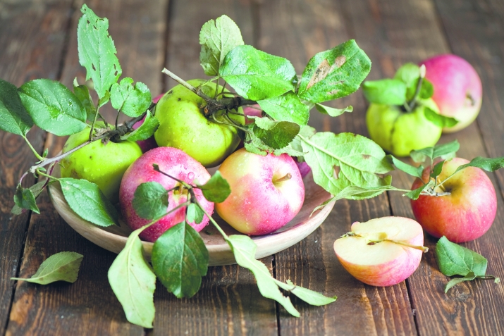 Гьивчул мюнпат