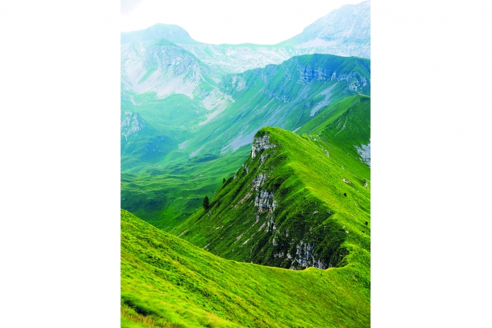 Нужеца гьездалъун ахIи бай