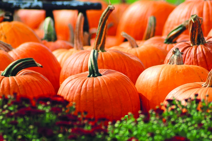 Qurаn vә hәdislәr qаbаq hаqqındа