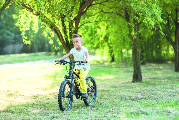 Гьарли – марси юлдаш