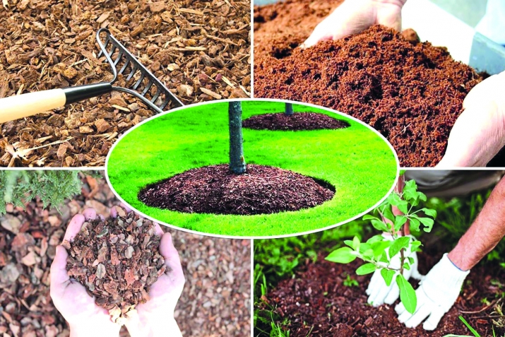 Гележег тIебиивиле (органикада) ава