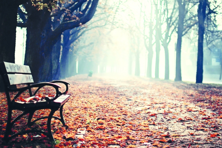 Һуңғы юлға оҙатыу