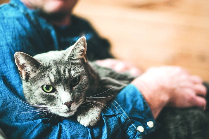 Ислам дин ва жита