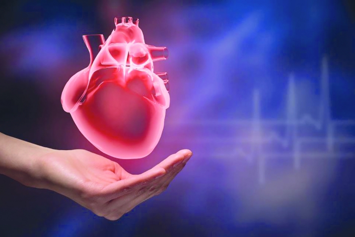 Барои солимии дил чӣ бояд кард?