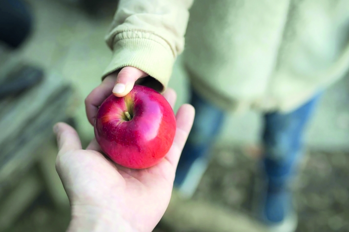 Инсанвал ва жуьрэтлувал