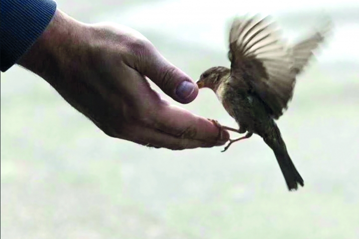 Игьтиятвал тийиз хъсанвал ая