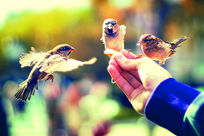 Жуьрэтлувиликай ва инсанвиликай кьисаяр