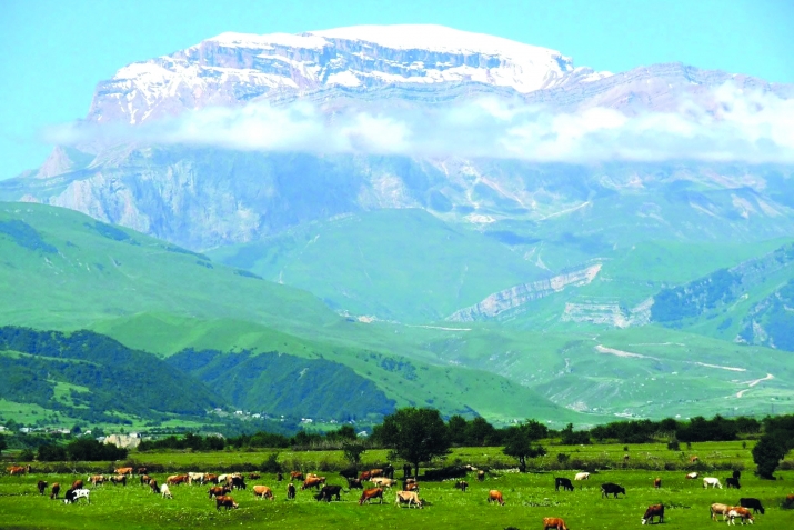 Жавагьиррин гуьгъуьна