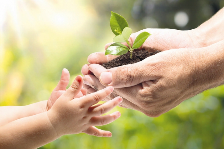 Бищун лъикIаб гIамал