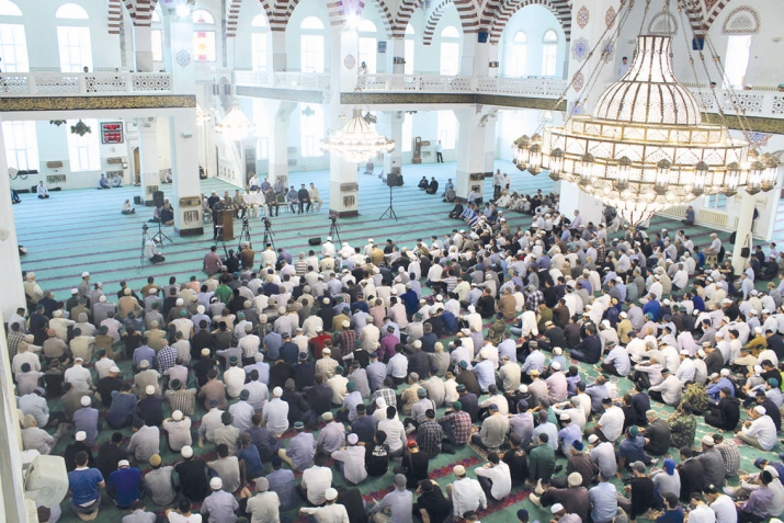 What is the difference between the hypocrites and true believers?