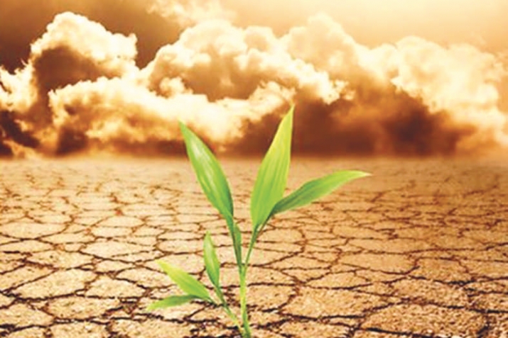 Koranic and Prophetic Inimitability in Ecology