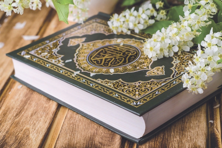 Редакциялизи кагъар