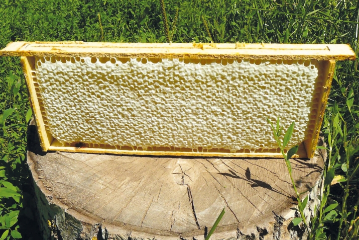 Бищун лъикIав найихъан