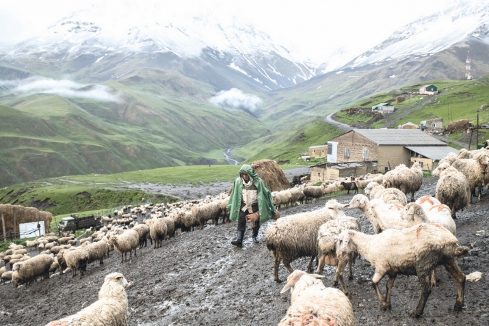 Динищ, дунялищ?