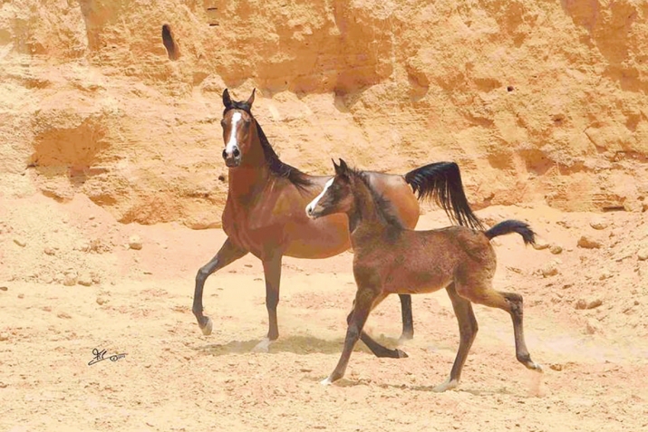 Пәйғәмбәребеҙҙең ﷺ ғәҙәттәре тураһында