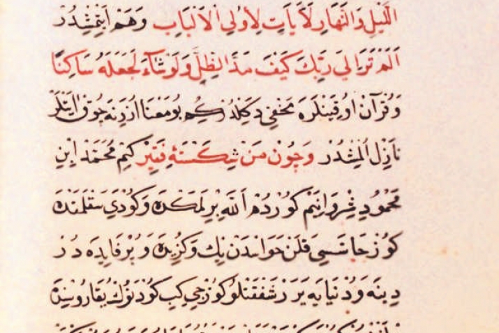 Мөхәммәд Ширвәни чыгышы белән Кавказдан булган төрек табибы