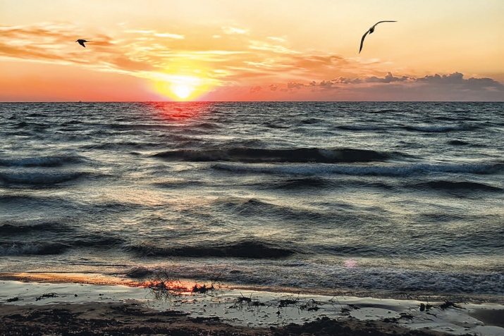 Курортдин алдатмишун