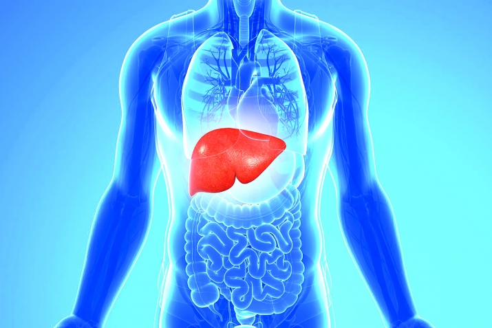 Хийирлу меслятар