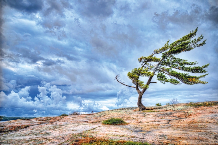 МикIар хъайиган урхру дюаь