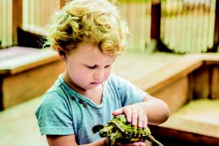 Жан-жанываргъа нечик янашмагъа герекни бил