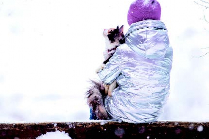 Оьрюм къызьяш оьзюнден уялмас учун кёмек этейик