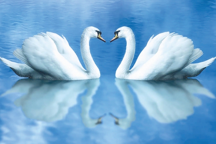 Мәрт мөғжизәләре