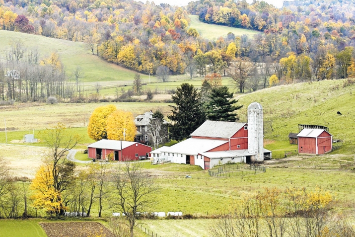 Нилъеца гьабураб нилъееги гьабула 