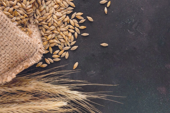 Закатуль-ФитIр – дуббуцарла сяхI