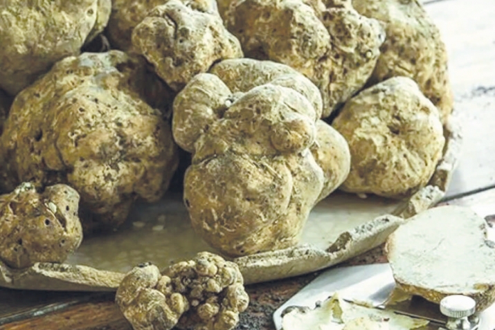 Күҙ ауырыуҙарын дауалау ысулдары