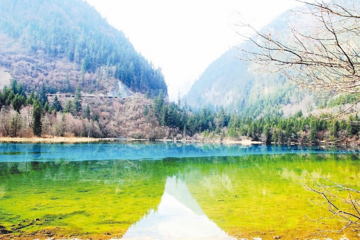 Аламатдин дуьньяда