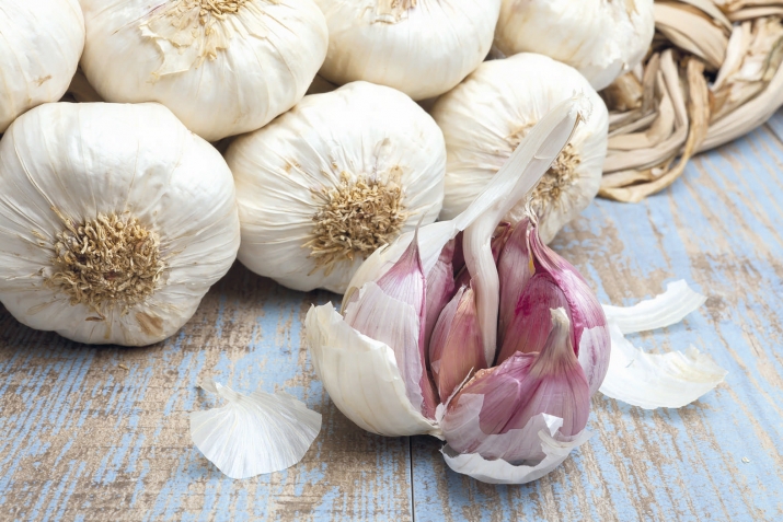 Би бацIцIад гьабулеб