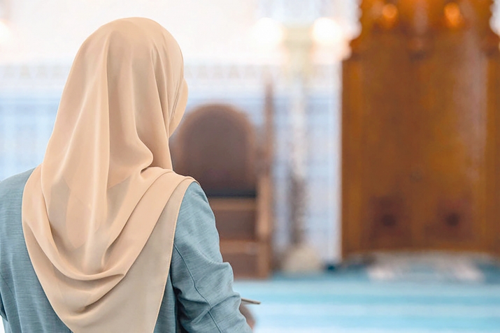 Пайдалы ёравлар