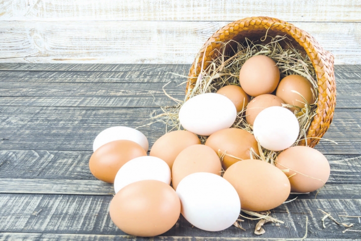 Гүйә һуғыш һаман тынмаған